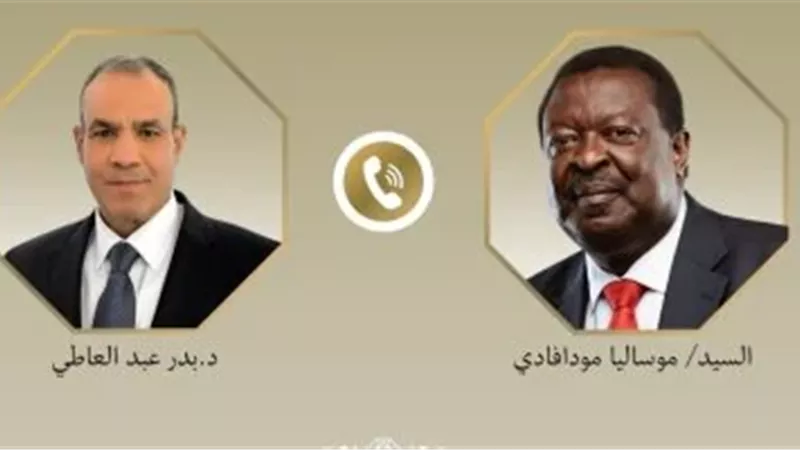 اتفاق مصري كيني على تحقيق الاستقرار في القرن الإفريقي والبحر الأحمر