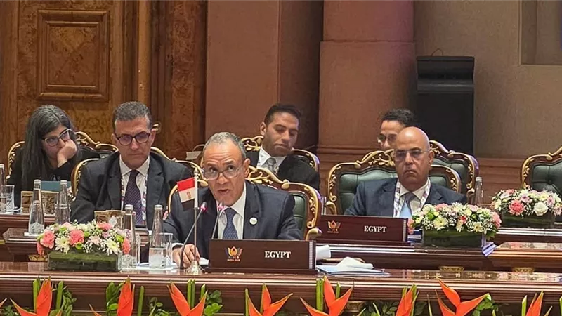 مصر تشارك في اجتماع وزراء خارجية دول مجموعة البريكس