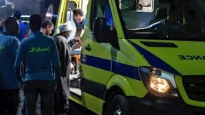 إصابة شخصين في اصطدام سيارة ملاكي يقودها شاب مراهق بمنطقة دلة بالفيوم