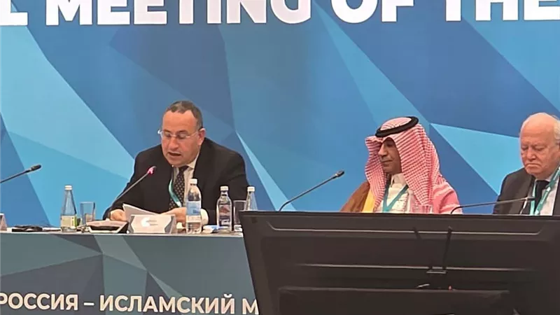 مصر تؤكد على توسيع التعاون الأكاديمي والبحثي بين روسيا ودول العالم الإسلامي