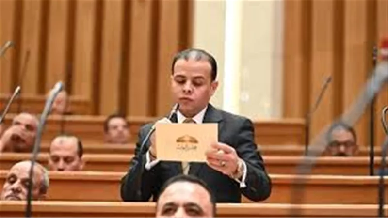 برلماني: أمن السعودية جزء لا يتجزأ من الأمن القومي العربي والتنسيق المشترك ضرورة