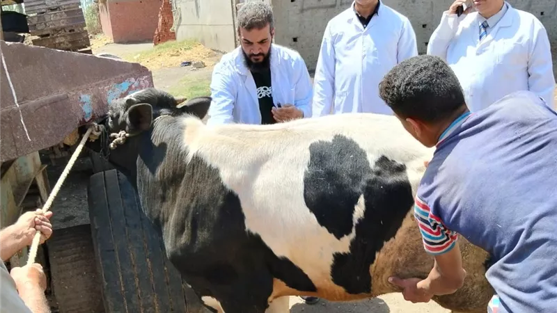 قوافل طبية بيطرية لتقديم الرعاية اللازمة في قرى حياة كريمة بالدقهلية 