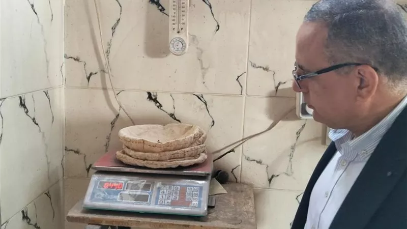 ضبط 235 كجم أسماك مجمدة غير صالحة للاستهلاك الآدمي في الدقهلية