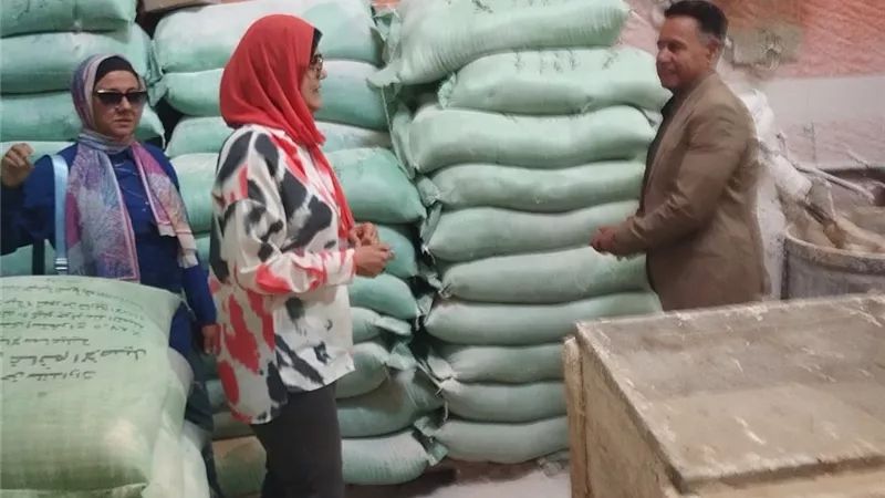 «تموين الإسماعيلية» يضبط طن ونصف دقيق مدعم قبل بيعها بالسوق السوداء
