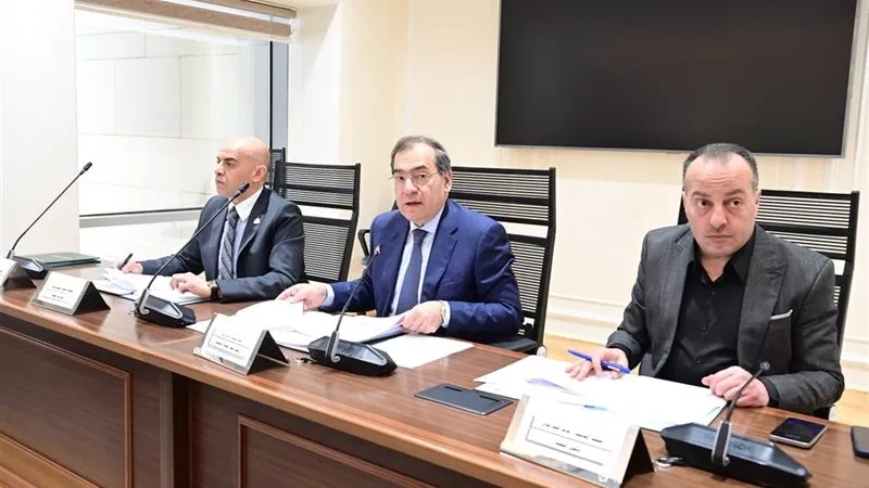 بزيادة 3 مليارات جنيه.. طاقة النواب تقر مشروع موازنة ديوان الكهرباء