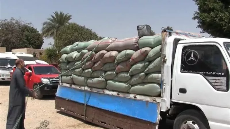 نجاح توريد 136 ألف طن قمح بسوهاج واستبعاد الكميات غير المطابقة للمواصفات