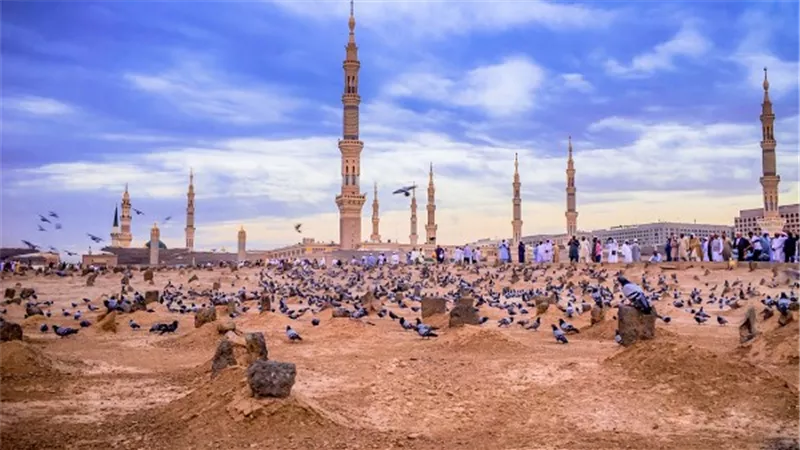 الإفتاء تحسم الجدل: زيارة مقابر البقيع بعد الحج مستحبة لما تحمله من فضل ومكانة روحانية