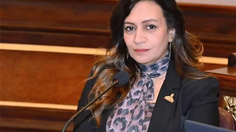 الشيوخ يوافق على مقترحي نفين فارس بشأن حافز المعلمين وتطوير الصورة الذهنية للتعليم الفني