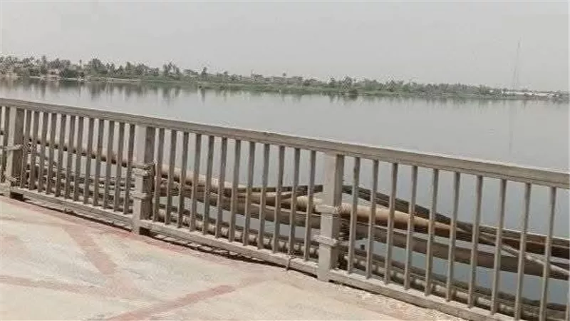 قرار عاجل ضد مشرفة تمريض أغرقت صغيريها في «نيل قنا»