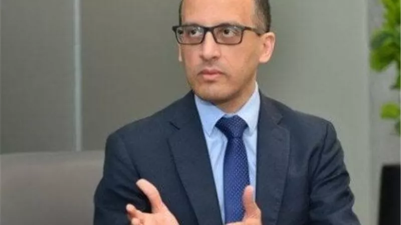 محمد الحمصاني: خطة علمية للتعامل مع الكلاب الضالة حفاظًا على المواطنين والبيئة