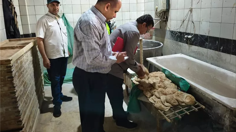 رئيس «سلامة الغذاء»: التسجيل والالتزام بالمعايير الصحية شرط أساسي لحماية المواطنين