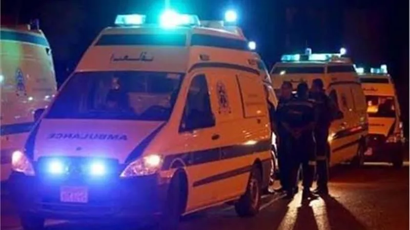الخال مش والد.. موظف إمبابة يذبح نجل شقيقته ويصيب الثاني بسب الميراث