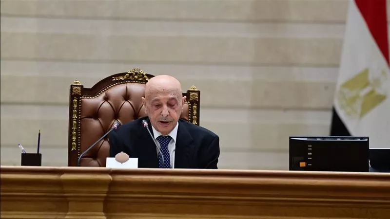 عقيلة صالح من البرلمان المصري: حاملات الطائرات المصرية تحركت لنصرة الشعب الليبي