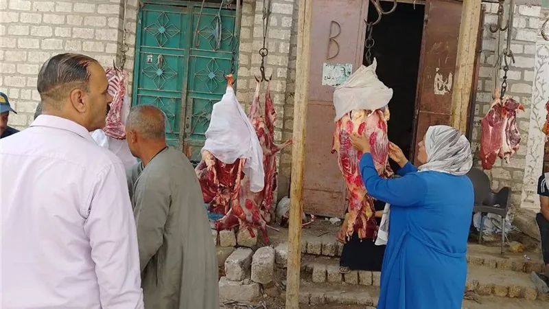 ضبط طن لحوم ومنتجات غذائية فاسدة خلال حملات رقابية بالمنيا 