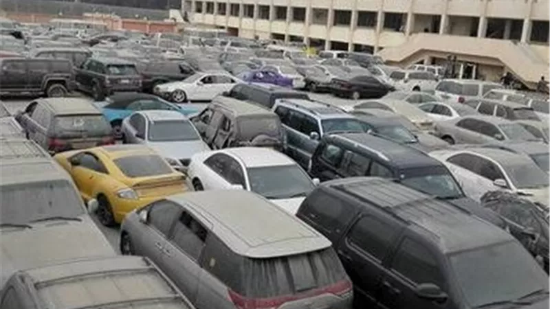 جمارك مصر تطرح 28 لوطًا من السيارات والبضائع بالمزاد العلني وتحقق 31 مليون جنيه