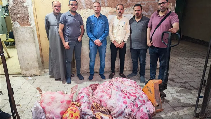 قبل ما توصل لمحلات الجزارة.. سقوط سيارة محملة بـ343 كيلو لحوم مريضة بسوهاج