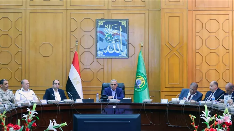 ما خطة الإسماعيلية لتجميع الكلاب الضالة وإيداعها في شلتر بعد عيد الأضحى؟