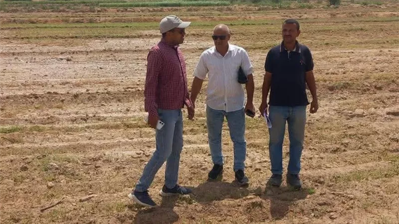 سوهاج تواجه الشائعات.. فحص عاجل ينفي استخدام مياه الصرف في الزراعة