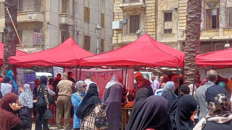 الإسكندرية توسّع أسواق اليوم الواحد استعدادًا لعيد الأضحى المبارك