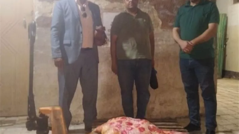 ضبط 594 كيلو لحوم بأختام مزورة بمراكز أخميم وطهطا وسوهاج