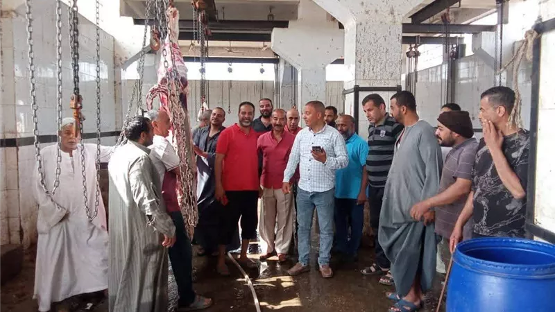 المنيا تستعد لعيد الأضحى.. حملات رقابية وتجهيز 38 مجزرًا حكوميًا مجانيًا