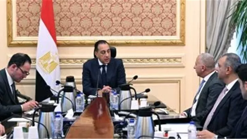 استثمارات واعدة وتوسعات كبرى.. مدبولي يلتقي رئيس «السويدي إلكتريك»
