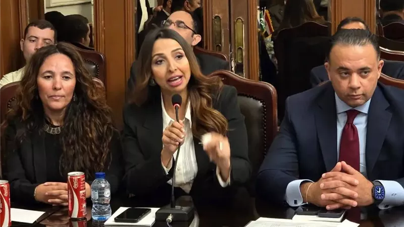 ملفات تشريعية.. تفاصيل الحوار سياسي بين الوفد وتنسيقية شباب الأحزاب 
