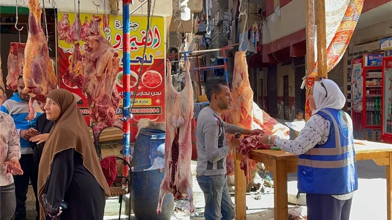 خطة شاملة بالإسكندرية للحفاظ على كفاءة الصرف الصحي خلال عيد الأضحى