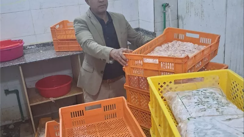 ضبط طنين من أجزاء الدجاج الفاسدة خلال حملة رقابية 