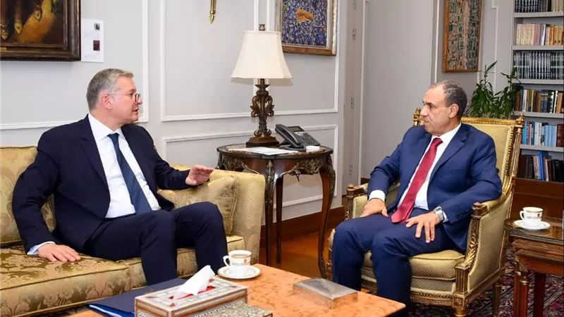 وزير الخارجية يبحث آليات الترويج للفرص الاستثمارية بقطاع البترول والغاز في مصر