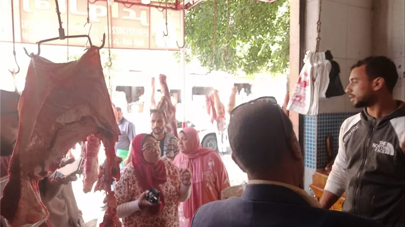 حملات مكثفة بالإسكندرية لضبط شوادر الأضاحي وتحصيل ملايين الجنيهات من المخالفات