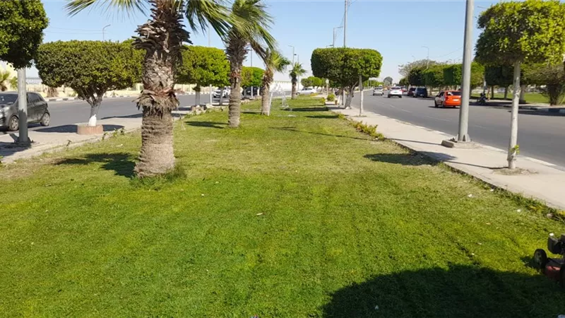 الإسماعيلية تتزين لاستقبال زوارها خلال عطلة عيد الأضحى المبارك
