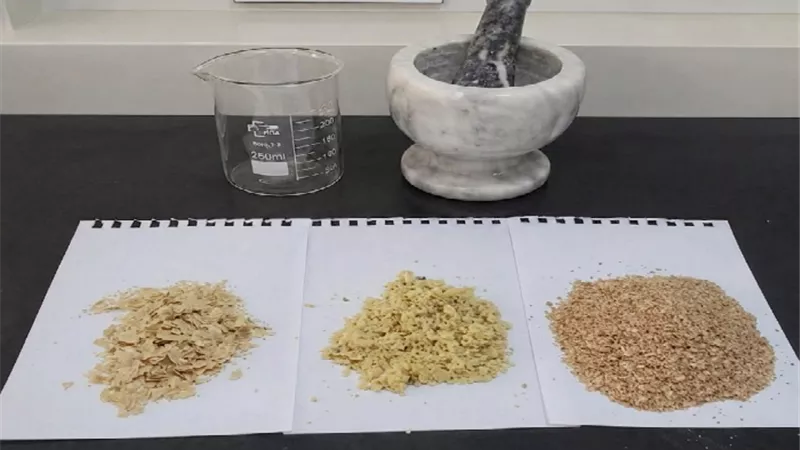 طالبات جامعة الزقازيق يطورن مشروع تحويل مخلفات الصناعات الغذائية لمكمل بروتيني نباتي 