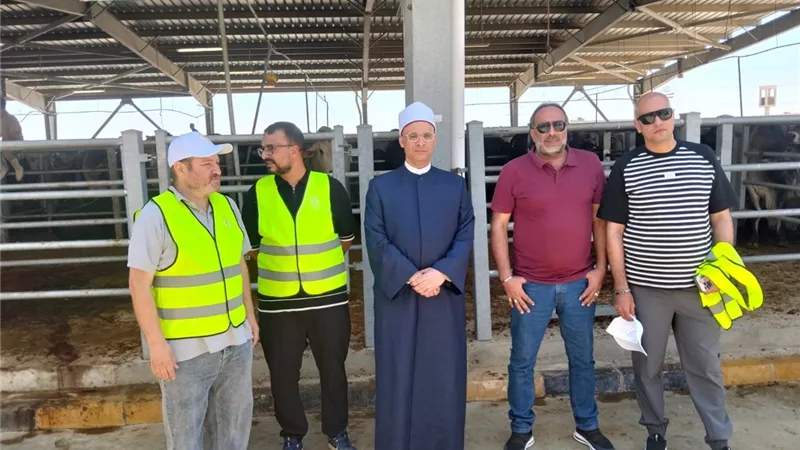 الأوقاف تبدأ ذبح الأضاحي بالمجازر المعتمدة تمهيدًا لتوزيعها على الأسر الأولى بالرعاية