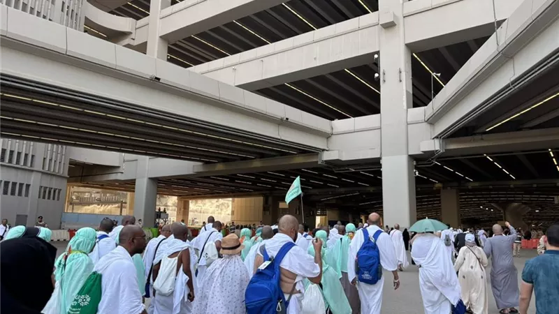 من جدة إلى القاهرة ، بدء جسر العودة لحجاج التضامن حتى منتصف يونيو
