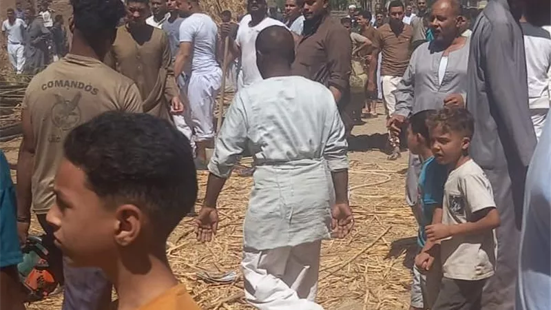 نفوق 4 رؤوس ماشية.. اندلاع حريق هائل داخل 3 منازل وحوش في مركزين بقنا
