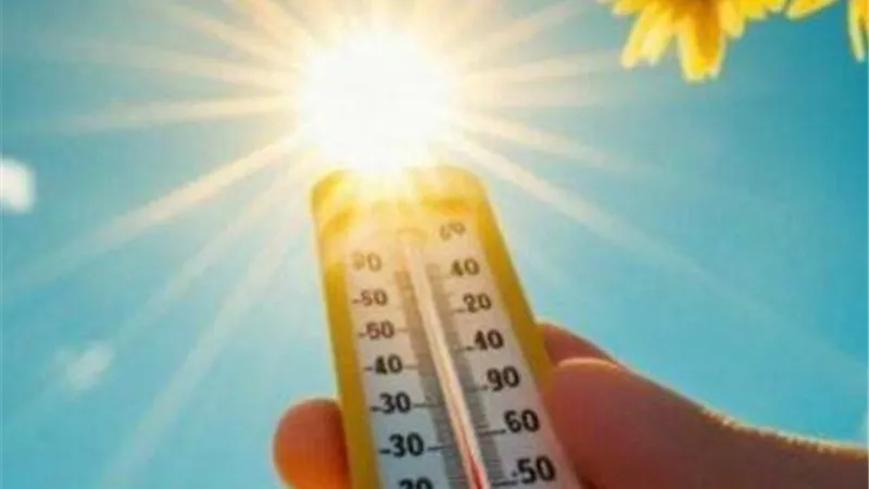 طقس معتدل ونشاط للرياح.. أجواء ربيعية في ثالث أيام عيد الأضحى بالبحيرة