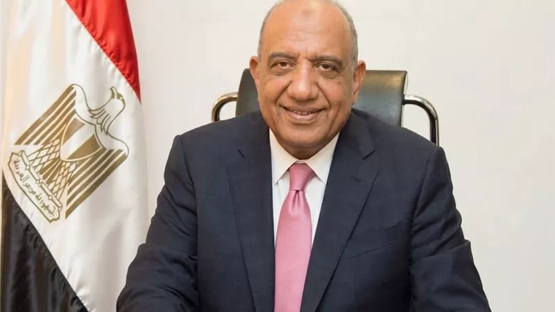 وزير الكهرباء يبحث مع «سكاتك» النرويجية تسريع مشروعات الطاقة المتجددة