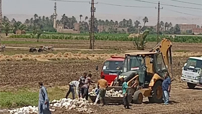 إحباط تقسيم نصف فدان بالصلعا.. ومحافظ سوهاج يحيل المتعدي للنيابة