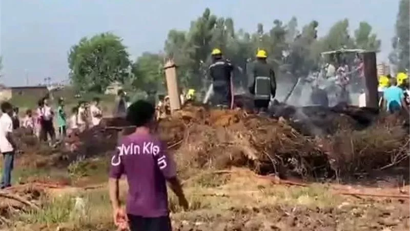 بالصور.. نفوق 3 رؤوس ماشية في اندلاع حريق هائل بطلخا