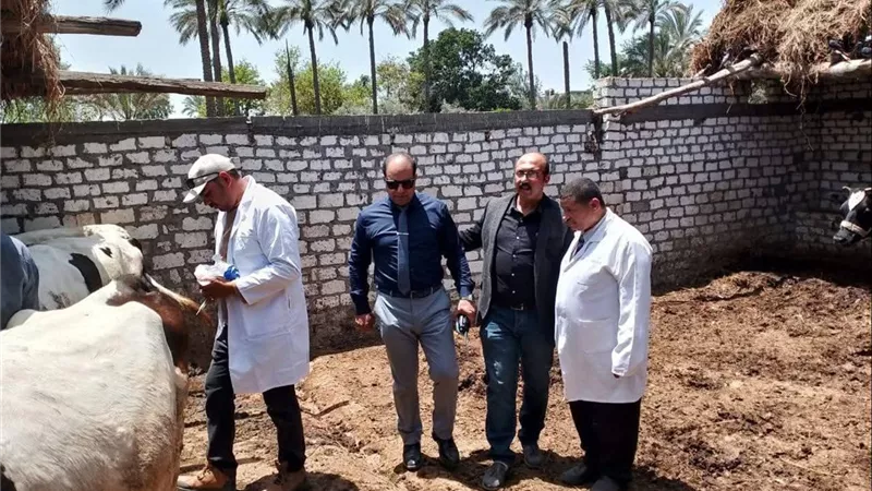 لحماية الثروة الحيوانية.. الدقهلية تحصن 185 ألف رأس ماشية ضد الأوبئة