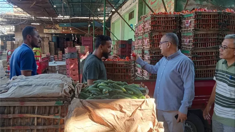 ضربة حاسمة لمافيا الأسواق.. ضبط 154 مخالفة ومصادرة بطاقات مدعمة بالدقهلية