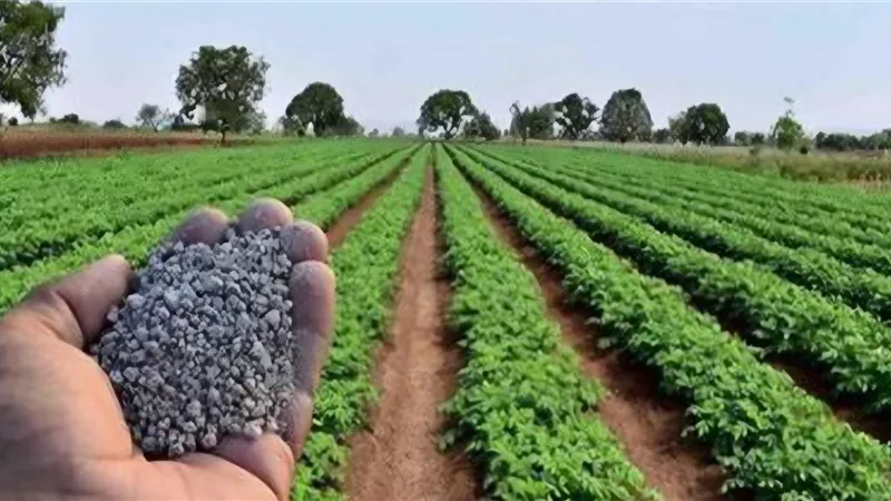 هل تم إلغاء صرف الأسمدة المدعمة للمزارعين في مصر؟.. الزراعة تكشف التفاصيل 