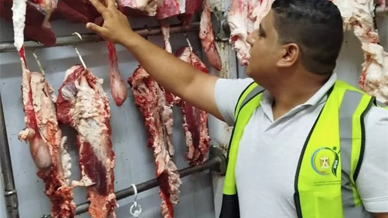 القومية لسلامة الغذاء تشن عدد من الحملات بالإسماعيلية لفحص الأغذية والتراخيص 