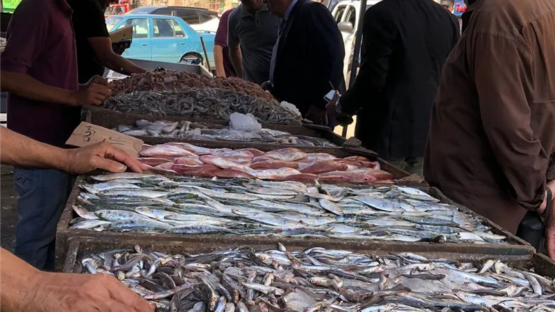 بالصور.. محافظ الدقهلية يتفقد المعرض الدائم للسلع الغذائية بغرب المنصورة 