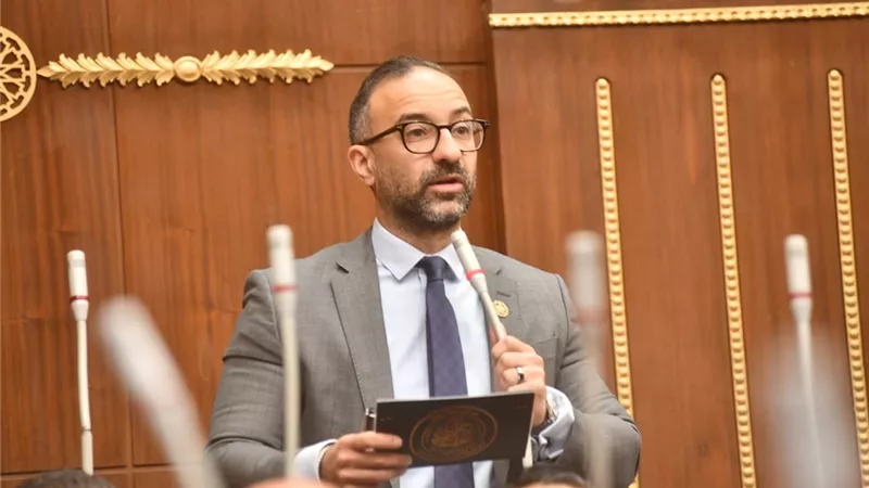 لحين صدور قانون الأسرة.. الحمامصي يطالب بزيادة مدة الرؤية إلى 6 ساعات