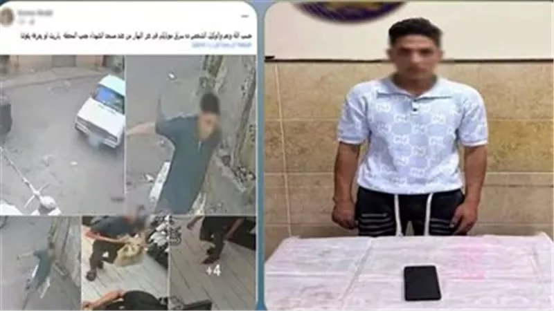 ضبط عامل لاتهامه بسرقة هاتف محمول من سيدة بأسلوب الخطف في البحيرة