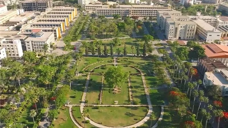 جامعة المنصورة تقود قاطرة التحول الأخضر في اليوم العالمي للبيئة