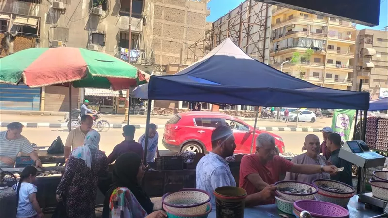 محافظ الدقهلية يتابع 