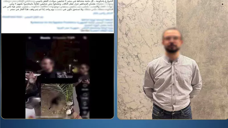 «كنت بخدرهم».. القبض على مدير شركة متهم بتسميم الكلاب في مدينة نصر